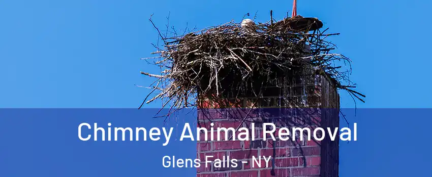 Chimney Animal Removal Glens Falls - NY