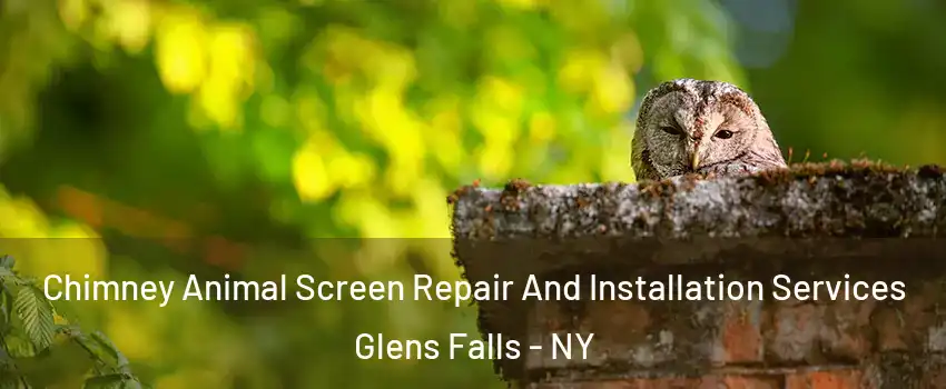  Chimney Animal Screen Repair And Installation Services Glens Falls - NY