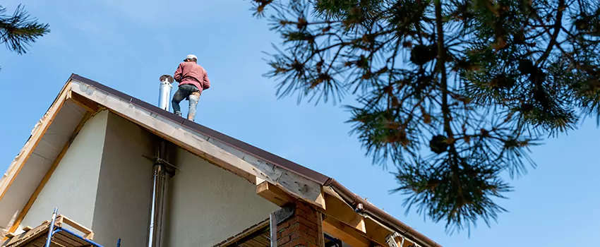 Birds Removal Contractors from Chimney in Glens Falls, NY