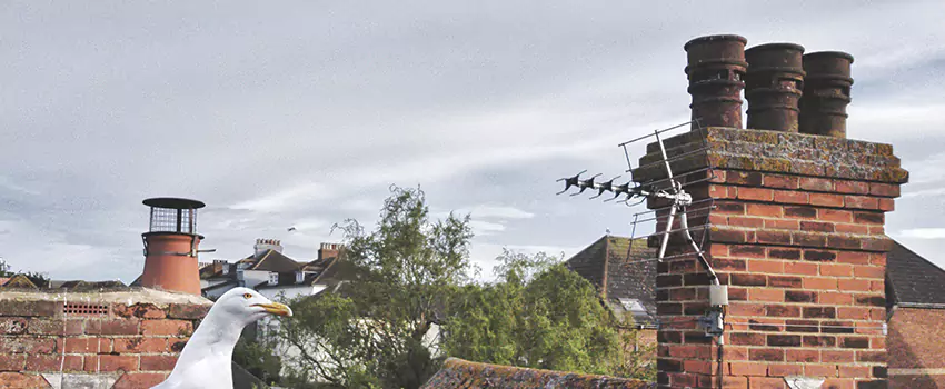 Chimney Cleaning And Restoration in Glens Falls, New York
